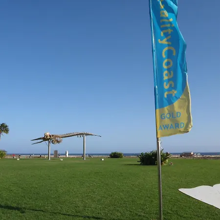 Apartamento Tajinaste Terras